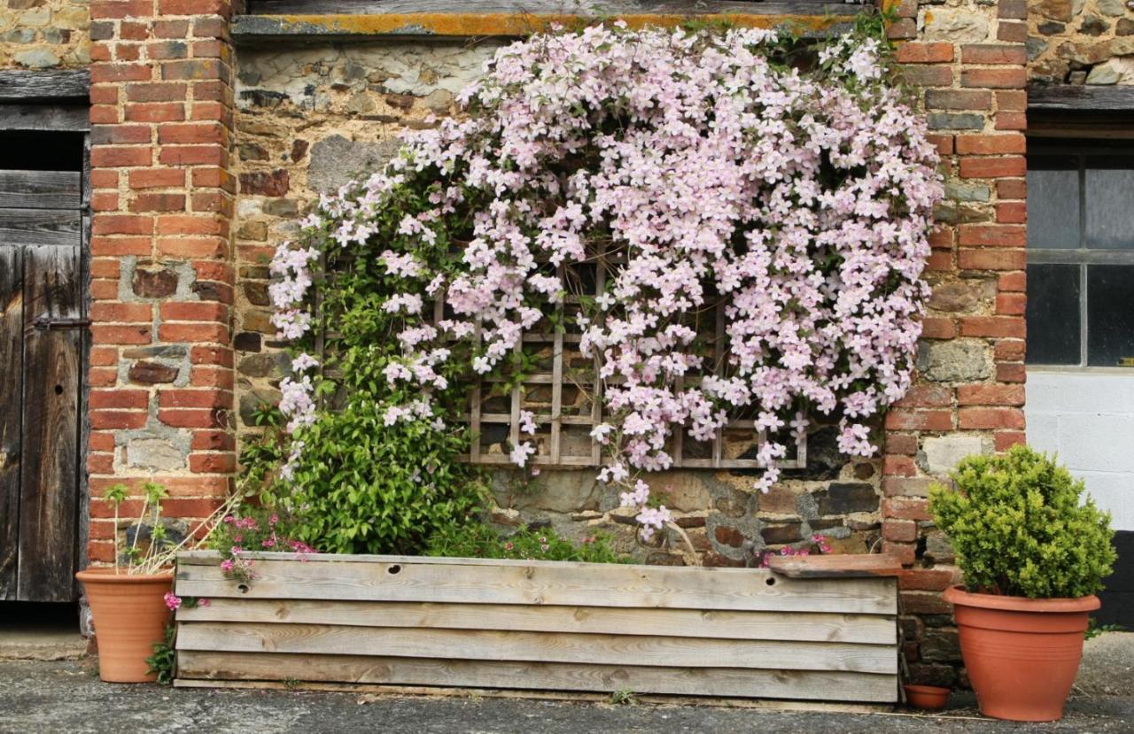 Brook Farmhouse Tedburn Exterior photo